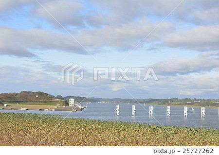 長沼ボート場、東京五輪候補地 長沼ボート場、東京五輪候補地 25727262