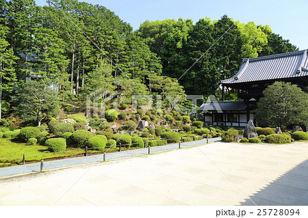 京都　東福寺　普門院前庭園 25728094