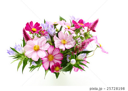 コスモスとノゲイトウとリンドウとナデシコのアレンジ（横　全体　左から右上） 25728198