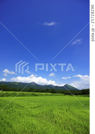熊本地震後の南阿蘇村の新緑の牧草地と晴天の青空と白い雲と雄大な阿蘇五岳の美しいコントラストが綺麗の写真素材