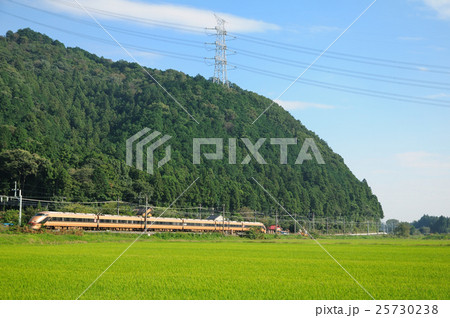 田園地帯を行く東武日光線100系スペーシア（日光詣カラー） 25730238