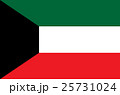 kuwait flag.vertor and  illustration 25731024