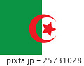 original and simple Algeria flag isolated vector  25731028