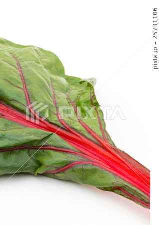 フダンソウ: Chard 25731106