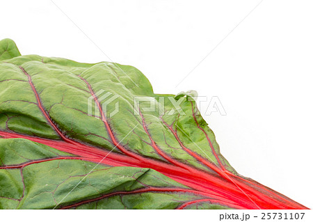 スイスチャード: Swiss Chard スイスチャード: Swiss Chard 25731107