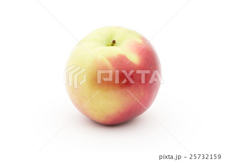 リンゴ（品種：マッキントッシュ）: Apple (cv. McIntosh) 25732159