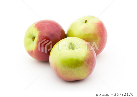 リンゴ(品種:マッキントッシュ): Apple (cv. McIntosh) リンゴ(品種:マッキントッシュ): Apple (cv. McIntosh) 25732170