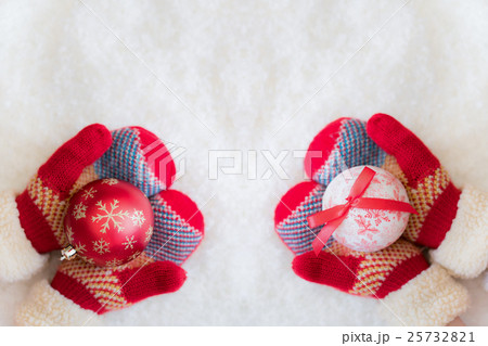 Christmas Xmas Winter Holiday Concept Christmas Xmas Winter Holiday Concept 25732821