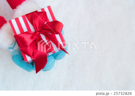 Christmas Xmas Winter Holiday Concept Christmas Xmas Winter Holiday Concept 25732826