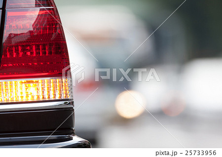 snapshot snapshot 25733956