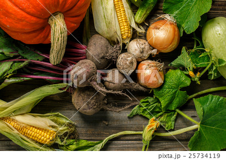 Freshly harvested vegetables with dirt 25734119