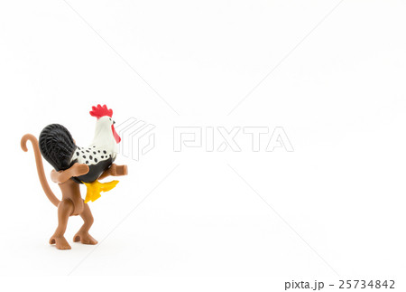 ニワトリを担ぐサル: Rooster and monkey 25734842
