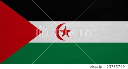Flag of Western Sahara detailed fabric texture 25735749