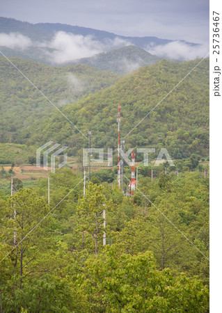 Telecommunications towers in forest 25736467