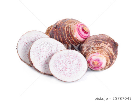 taro isolated on white background taro isolated on white background 25737045
