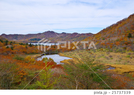 紅葉の赤城山 眼下に見下ろす覚満淵 g 紅葉の赤城山 眼下に見下ろす覚満淵 g 25737339