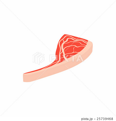 Steak meat icon, isometric 3d style Steak meat icon, isometric 3d style 25739468