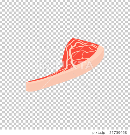 Steak meat icon, isometric 3d style Steak meat icon, isometric 3d style 25739468