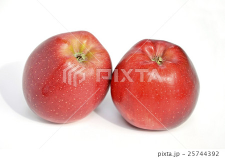 リンゴ スターキングデリシャス の写真素材
