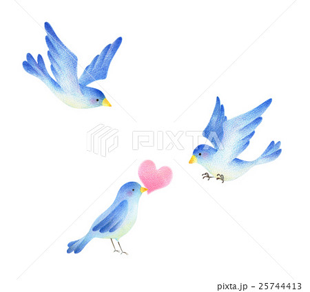 3匹の青い鳥のイラスト素材