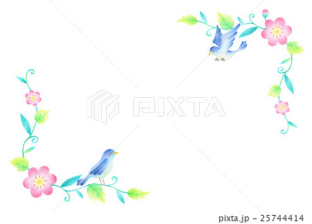 青い鳥 つる草花のイラスト素材