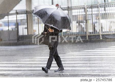 雨 雨 25745786
