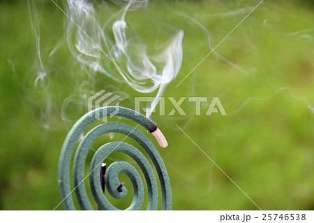 蚊取り線香 蚊取り線香 25746538