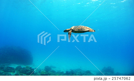 沖縄　阿嘉島のニシハマビーチ　水中撮影 25747062