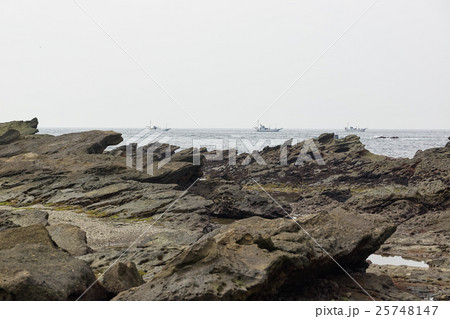 浸食された城ヶ島南海岸の岩場、神奈川県三浦市 浸食された城ヶ島南海岸の岩場、神奈川県三浦市 25748147