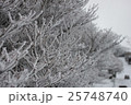 樹氷 25748740