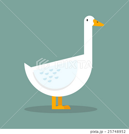 White goose flat style 25748952