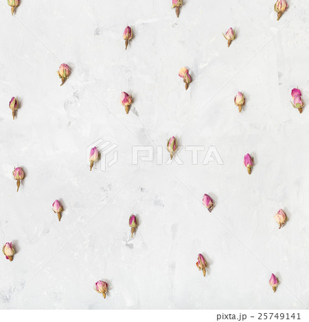 rose flower buds on square gray concrete board rose flower buds on square gray concrete board 25749141