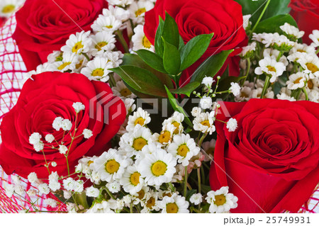 Red roses background Red roses background 25749931