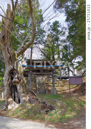 信州　安曇野　明科の神社　柏尾大天白社　全景縦 25751013