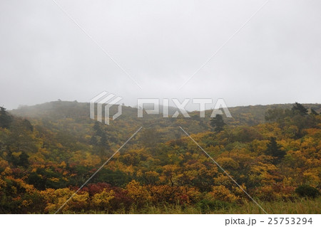 栗駒山(須川岳)と名残ヶ原の紅葉(岩手県) 栗駒山(須川岳)と名残ヶ原の紅葉(岩手県) 25753294