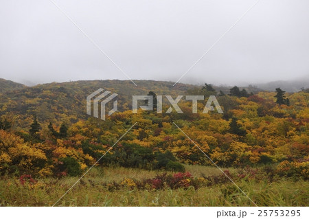 栗駒山（須川岳）と名残ヶ原の紅葉（岩手県） 25753295