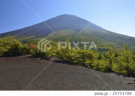 奥庭・富士山の奥庭自然公園（山梨県） 25753789