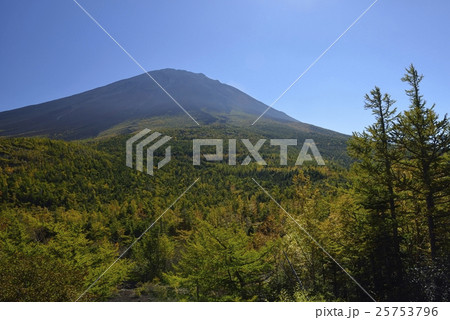 奥庭・富士山の紅葉（山梨県） 25753796