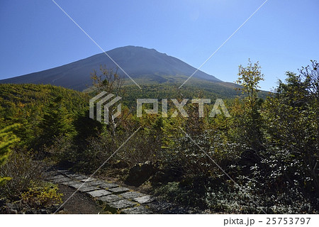 奥庭・富士山の奥庭自然公園（山梨県） 25753797