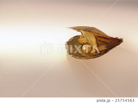 Nature stock images 25754563