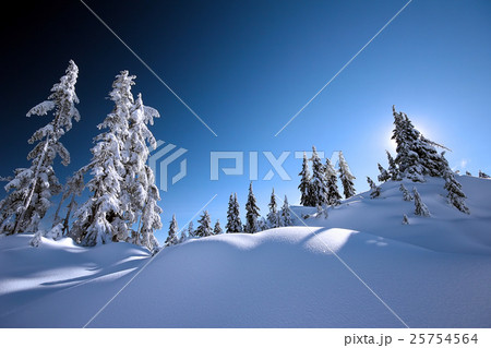 Nature stock images 25754564