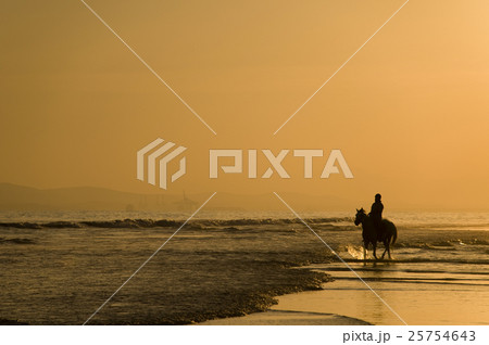 Animal stock images Animal stock images 25754643