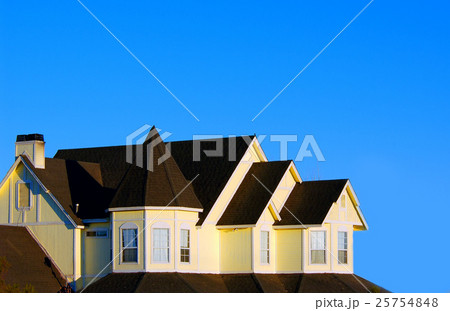 Architecture and design 25754848