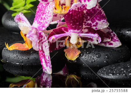 Beautiful spa setting of beautiful lilac orchid Beautiful spa setting of beautiful lilac orchid 25755588