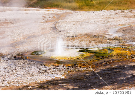 Yellowstone National Park, Utah, USA 25755905