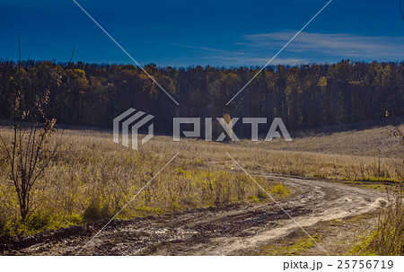 dirt road in the field on a background autumn fore dirt road in the field on a background autumn fore 25756719