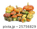 Decorative pumpkins 25756829
