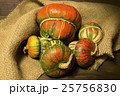 Decorative pumpkins 25756830