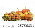 Decorative pumpkins 25756831