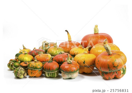 Decorative pumpkins Decorative pumpkins 25756831